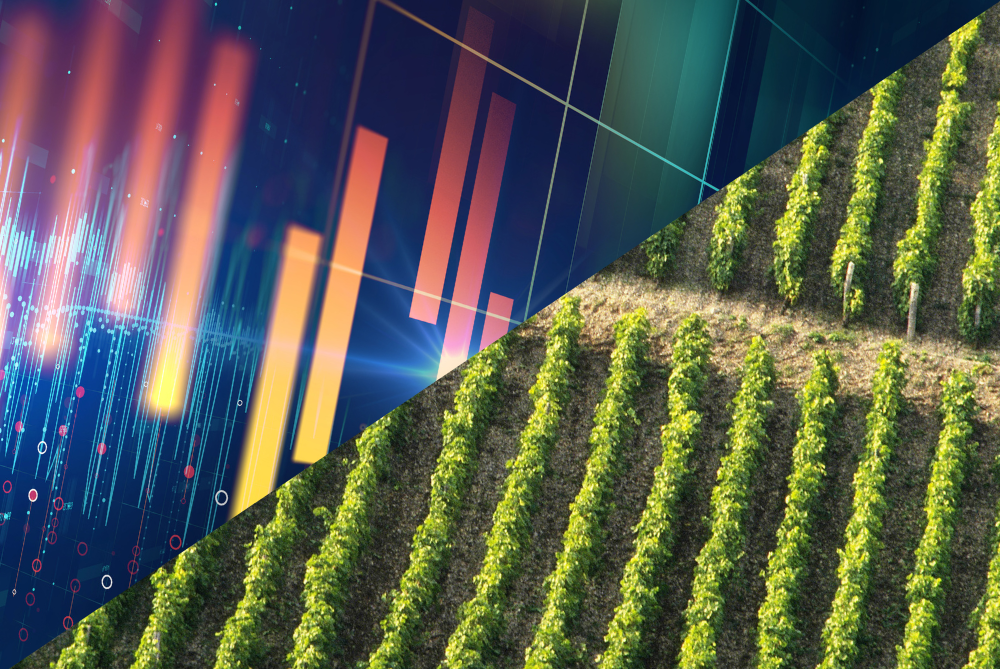 Wealth Building Program